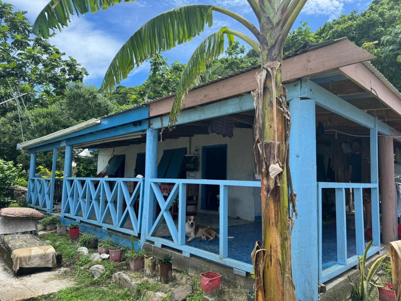 Lusis Homestay Lautoka Bagian luar foto